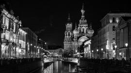 Mosca di notte