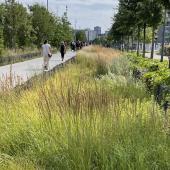 Con Greenstorm è disponibile un set di dati climatici