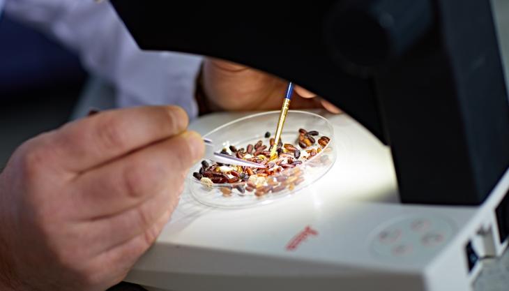 Le scienze forensi al microscopio