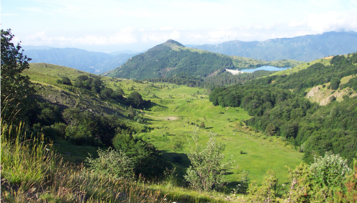Moglie Mezane - Moglia delle Artue (Alta Valle Sturla, Borzonasca, GE)