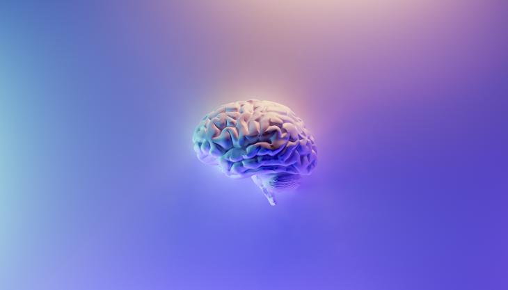 Ritardo mentale, epilessia e complesse malformazioni del cervello e del cervelletto - UniGe