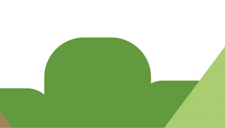 lifeBeWooden conferenza finale