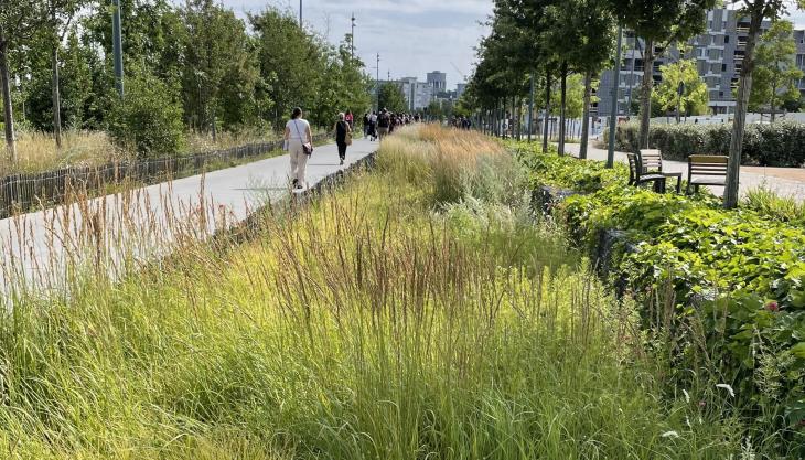 Con Greenstorm è disponibile un set di dati climatici