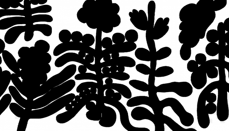 grafica per convegno "Different Differentiations"