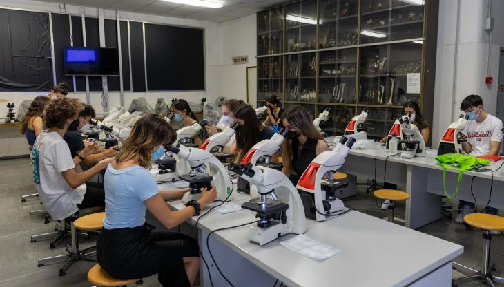 laboratorio DIMES