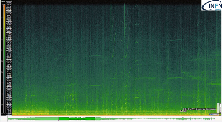 Spettogramma del segnale emesso dalla famiglia di orche nel porto di Genova Prà