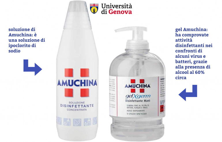 Amuchina gel e soluzione: la differenza - UniGe