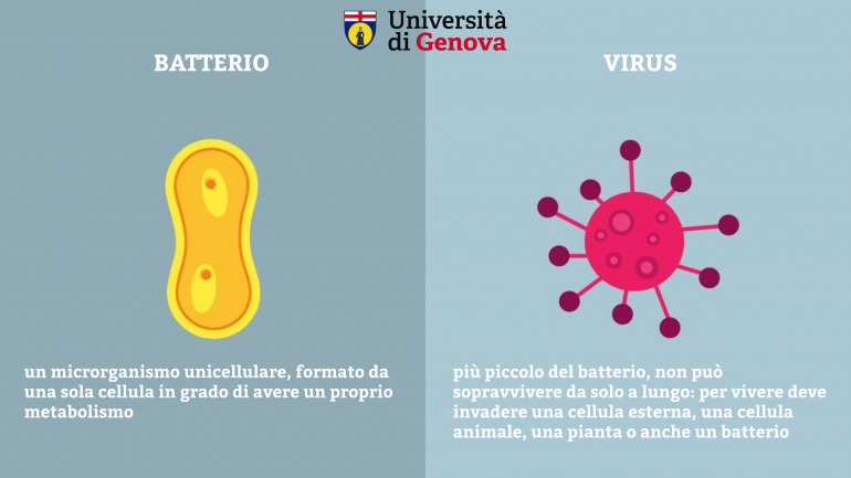 Batteri e virus: la differenza - UniGe