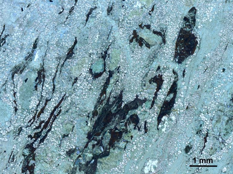 Eclogite al microscopio