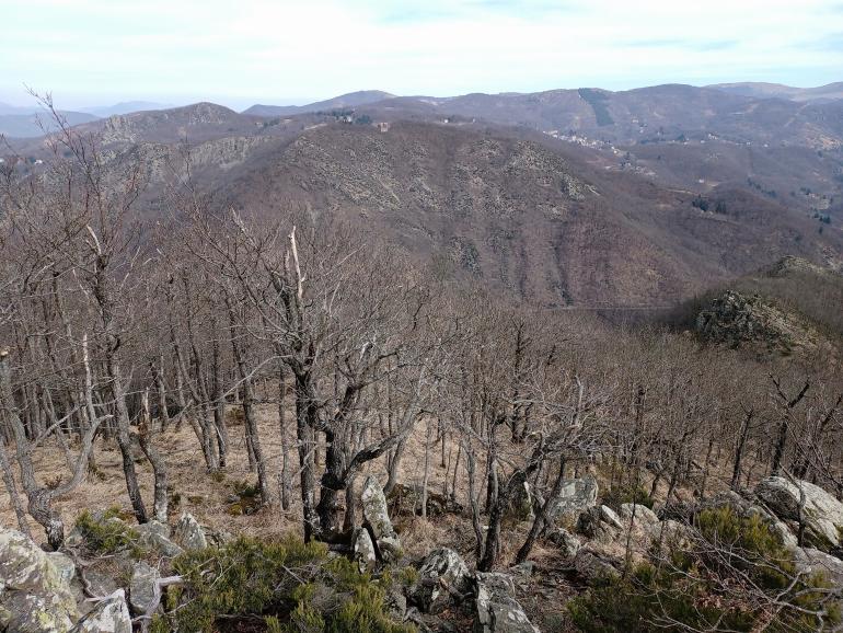 Monte Taeriné e Valle Orba