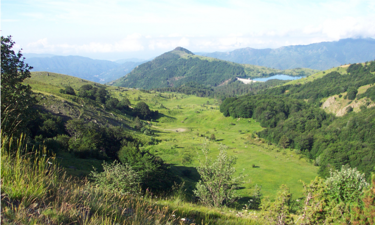 Moglie Mezane - Moglia delle Artue (Alta Valle Sturla, Borzonasca, GE)