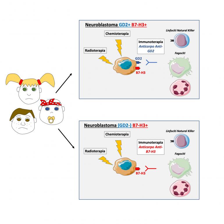 B7-H3 neuroblastoma