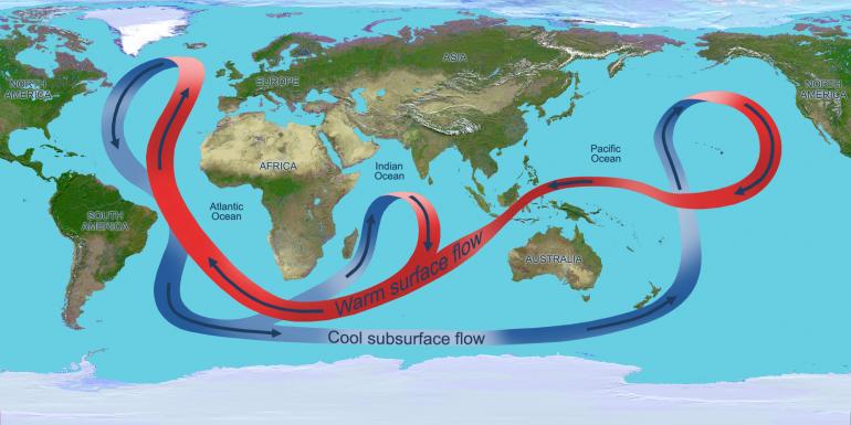 Raffigurazione  dello schema di circolazione oceanica (Conveyor Belt)