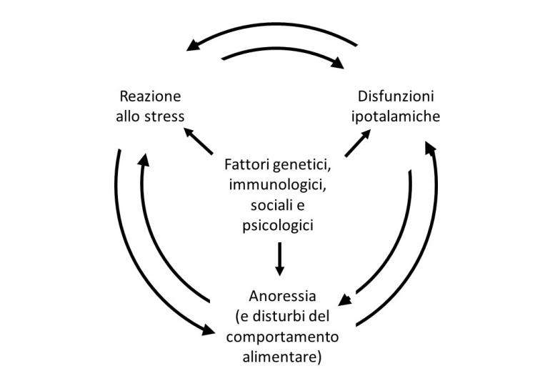 Schema studio anoressia nervosa - UniGe