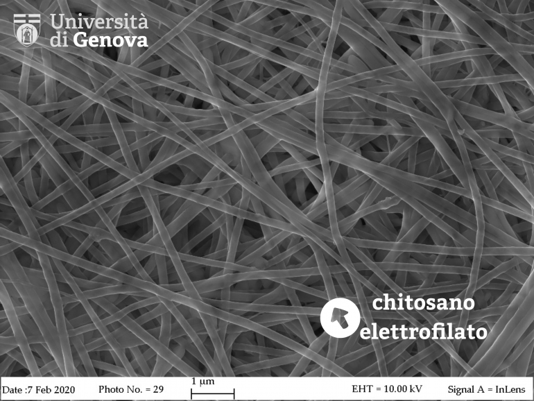 Chitosano elettrofilato - chimica industriale UniGe