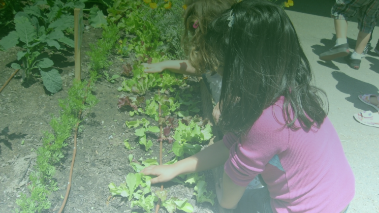 progetto "Dalla botanica ai big data" in una scuola di Arenzano