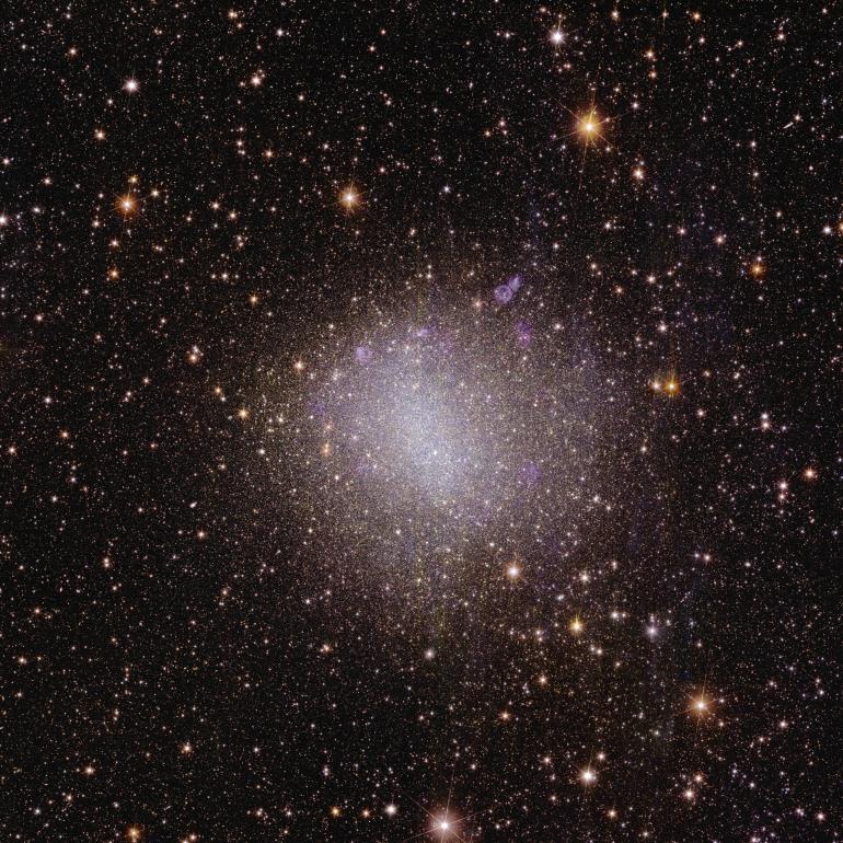 Euclid’s view of irregular galaxy NGC 6822