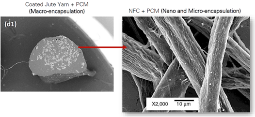 Juta al microscopio