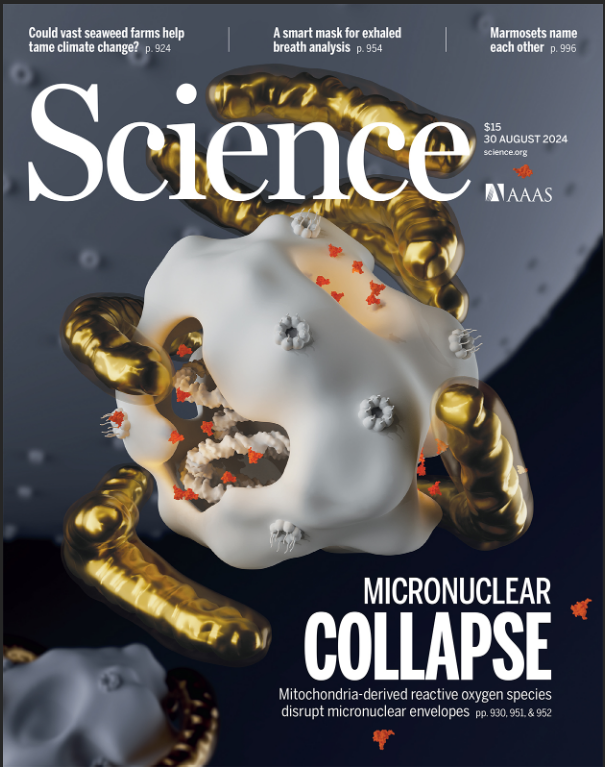 Science copertina del 30 agosto 2024 Science copertina del 30 agosto 2024
