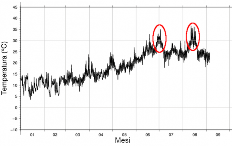 temperatura media giornaliera 2025