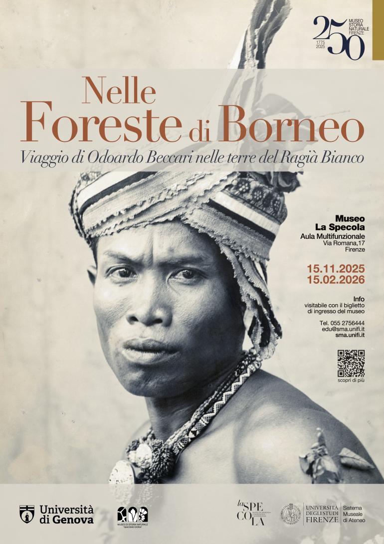Locandina della mostra "Nelle foreste di Borneo"