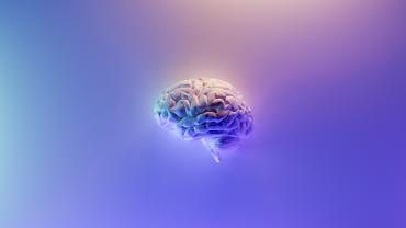 Ritardo mentale, epilessia e complesse malformazioni del cervello e del cervelletto - UniGe