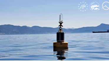 Boa in mare per il progetto Life-PIAQUO
