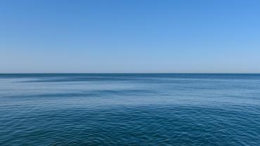 mare