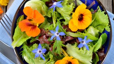 fiori eduli