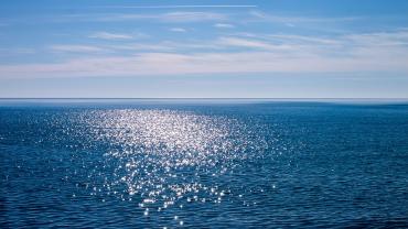 mare