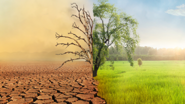 dati osservatorio meteo estate 2025