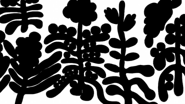 grafica per convegno "Different Differentiations"