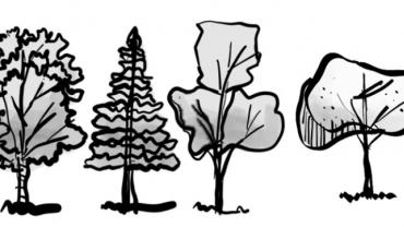 alberi_stilizzati