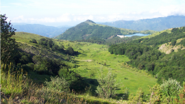Moglie Mezane - Moglia delle Artue (Alta Valle Sturla, Borzonasca, GE)
