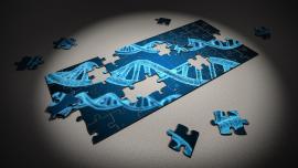 Il puzzle del DNA