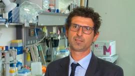 Pasquale Striano - UniGe