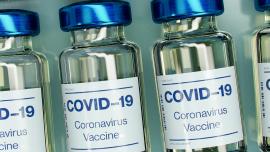 Vaccino Covid 19 l'immunità dura più di 6 mesi grazie alle cellule T - UniGe