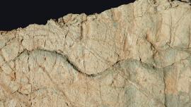 Pesce fossile sulle rocce appenniniche
