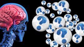 il cervello umano e la malattia di Alzheimer
