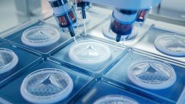 advanced functional materials