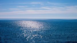 mare