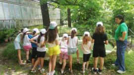 Childcare al convegno SIS 2025