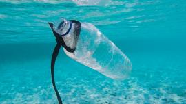 plastica in mare - progetto Plastron
