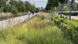 Con Greenstorm è disponibile un set di dati climatici