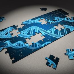 Il puzzle del DNA