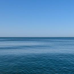 mare