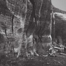 chronos mostra antropocene