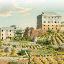 mostra genova e il secolo del cambiamento