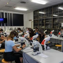 laboratorio DIMES