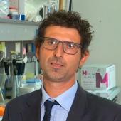 Pasquale Striano - UniGe